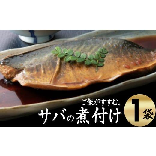 ふるさと納税 魚貝類 高知県 室戸市 ＥＰＡが豊富 初音のサバの煮付け 半身×１枚 さば 鯖 DHC...