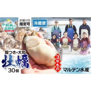 ふるさと納税 岩手県 陸前高田市 期日指定OK！『殻付き牡蠣（生食用）』30個 「3年育成ものの大粒」※感謝！10,000件突破！【 天然 牡蠣 かき 殻付き 生食 大…