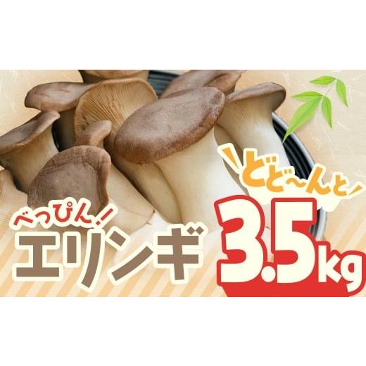 ふるさと納税 野菜類 きのこ 三重県 多気町 べっぴん エリンギ どどーんと 3.5kg | えりん...