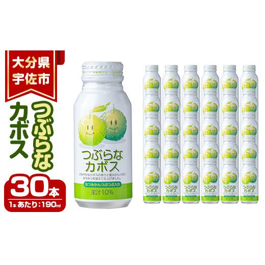 ふるさと納税 大分県 宇佐市 つぶらなカボスジュース(計5.7L・190ml×30本)かぼす ドリン...