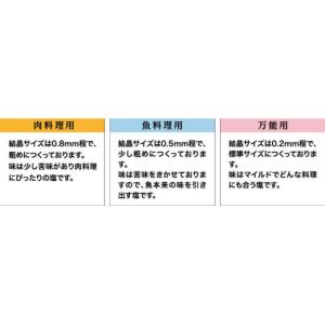 ふるさと納税 塩・だし 海塩 高知県 田野町 ...の詳細画像5