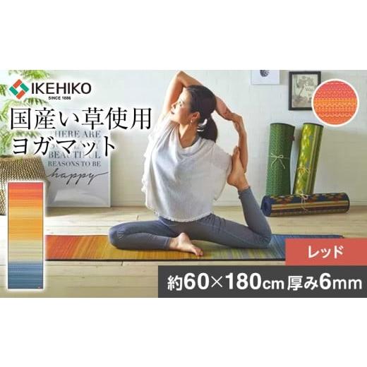 ふるさと納税 雑貨・日用品 福岡県 大木町 畳ヨガJAPAN　ジョイ（60×180）（レッド）　AA...
