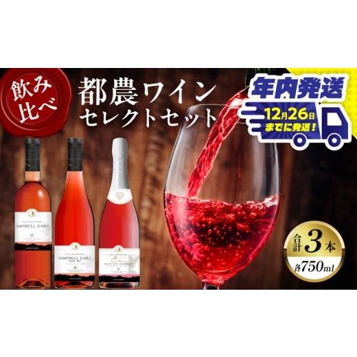 ふるさと納税 ワイン ロゼワイン 宮崎県 都農町 ＼年内発送 ／都農ワインセレクトセット(合計3本)...