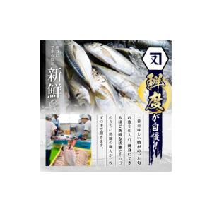 ふるさと納税 干物 アジ 鹿児島県 阿久根市 ...の詳細画像3