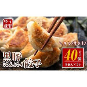 ふるさと納税 餃子 鹿児島県 伊佐市 Z6-0...の詳細画像1