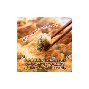 ふるさと納税 餃子 鹿児島県 伊佐市 Z6-0...の詳細画像2