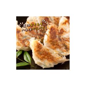 ふるさと納税 餃子 鹿児島県 伊佐市 Z6-0...の詳細画像3