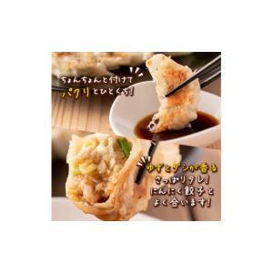 ふるさと納税 餃子 鹿児島県 伊佐市 Z6-0...の詳細画像5