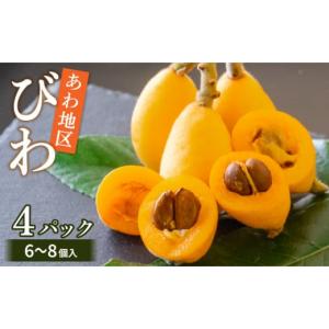 ふるさと納税 果物類 びわ 高知県 須崎市 早期予約受付 5月中旬頃より順次発送 びわ フルーツ 果物 おすすめ 6 ~8個 4 パック 約 1.2kg 旬 果実 ギフト 枇杷 …