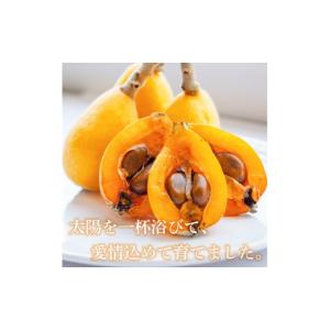 ふるさと納税 果物類 びわ 高知県 須崎市 早...の詳細画像2