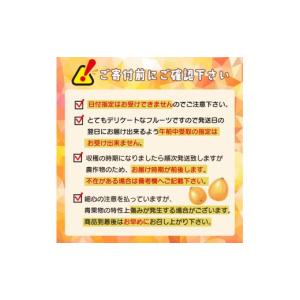 ふるさと納税 果物類 びわ 高知県 須崎市 早...の詳細画像3