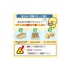 ふるさと納税 果物類 びわ 高知県 須崎市 早...の詳細画像4