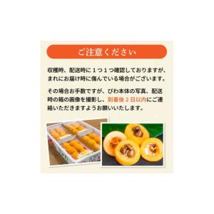 ふるさと納税 果物類 びわ 高知県 須崎市 早...の詳細画像5