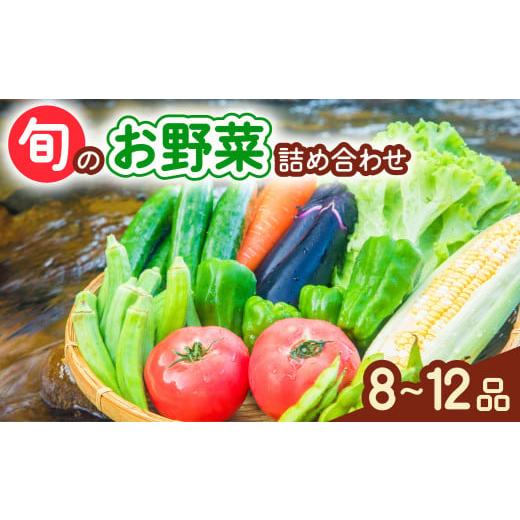 ふるさと納税 セット・詰合せ 徳島県 海陽町 阿波の国海陽町 旬のお野菜詰め合わせセット 8〜12品...