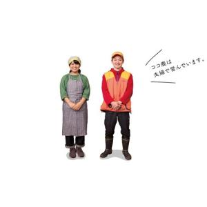 ふるさと納税 加工品等 兵庫県 朝来市 無添加...の詳細画像5