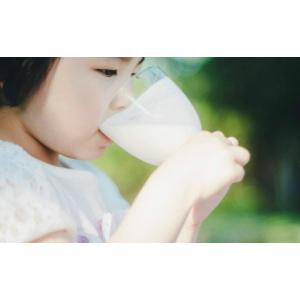 ふるさと納税 飲料類 乳飲料 岩手県 花巻市 ...の詳細画像3
