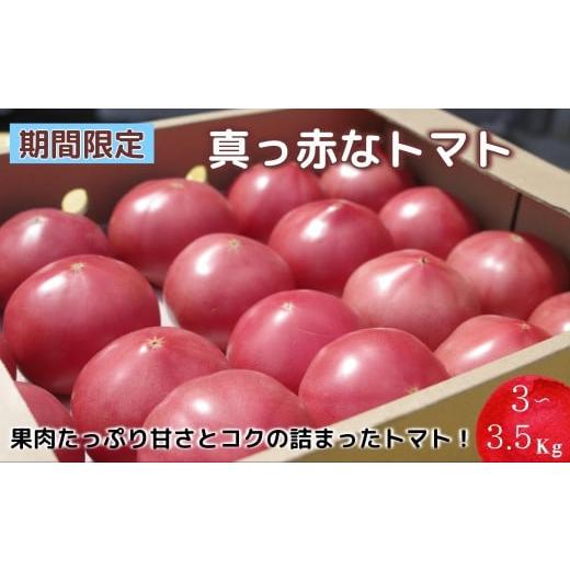 ふるさと納税 長崎県 松浦市 【A9-015】期間限定　真っ赤なトマト3kg〜3.5kg トマト と...