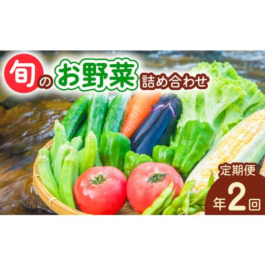 ふるさと納税 セット・詰合せ 徳島県 海陽町  定期便年2回 阿波の国海陽町 旬のお野菜詰め合わせセ...