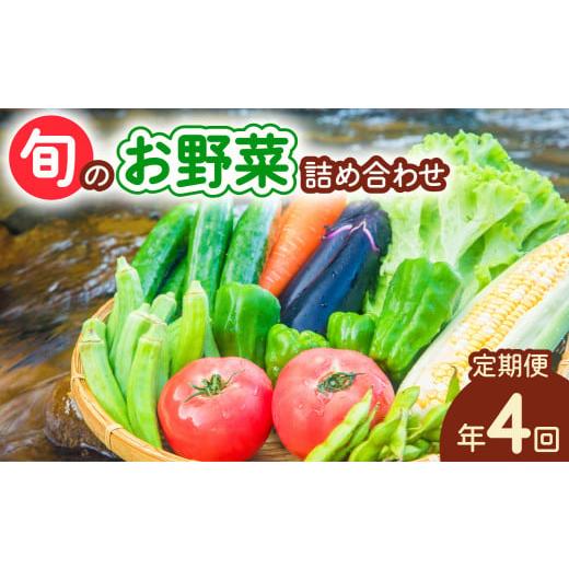 ふるさと納税 セット・詰合せ 徳島県 海陽町  定期便年4回 阿波の国海陽町 旬のお野菜詰め合わせセ...