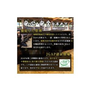 ふるさと納税 牛肉 ステーキ 茨城県 常陸大宮...の詳細画像5