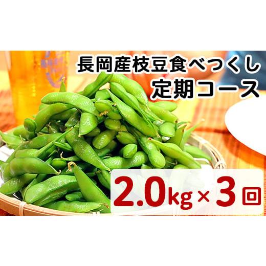 ふるさと納税 新潟県 長岡市 75E-T新潟県長岡産枝豆【2.0kg×3回お届け】食べつくし定期コー...