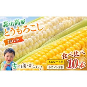 ふるさと納税 とうもろこし 岡山県 真庭市  先行予約 朝採れ 蒜山高原 とうもろこし ミックス10本 | 7月下旬〜8月上旬頃出荷予定 数量限定 人気 朝採れ 新鮮 …