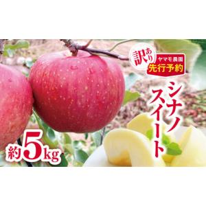 ふるさと納税 りんご 長野県 松川村 2026年先行予約 訳あり シナノスイート約5kg | ヤマモ農園 果物 フルーツ 果実 訳あり りんご 林檎 リンゴ シナノスイー…
