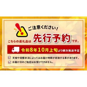 ふるさと納税 りんご 長野県 松川村 2026...の詳細画像2