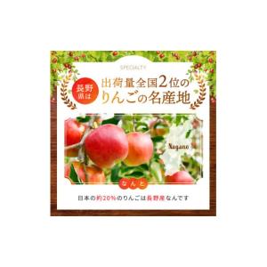 ふるさと納税 りんご 長野県 松川村 2026...の詳細画像3