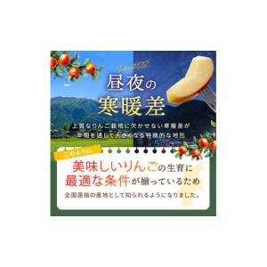ふるさと納税 りんご 長野県 松川村 2026...の詳細画像5