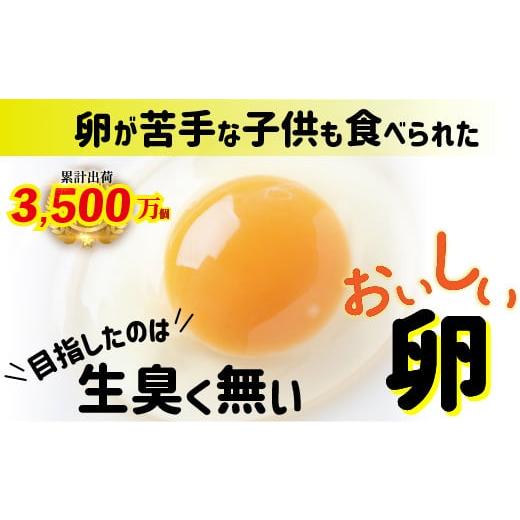 ふるさと納税 高知県 四万十町 卵が苦手な子どもも食べられた！生臭くないおいしい卵 6個入×5P　G...