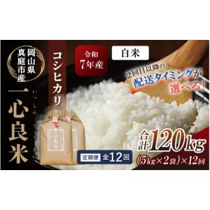 ふるさと納税 米 コシヒカリ 岡山県 真庭市 全...の商品画像