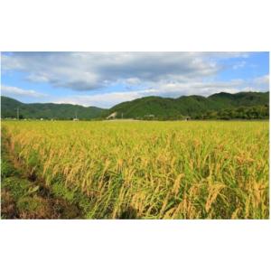 ふるさと納税 米 コシヒカリ 岡山県 真庭市 ...の詳細画像5