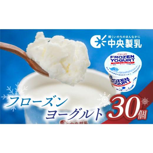 ふるさと納税 愛知県 豊橋市 中央製乳 フローズンヨーグルト 30個  高評価 スイーツ アイス ア...