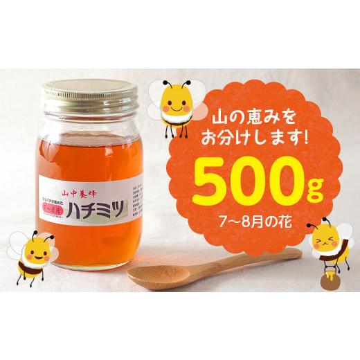 ふるさと納税 千葉県 富津市 【自然のまま】富津産ハチミツ500g（7〜8月の花）