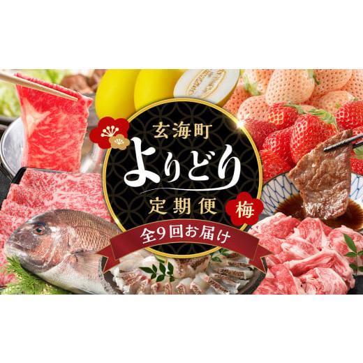 ふるさと納税 自治体にお任せ 佐賀県 玄海町  ふるさと納税 定期便9回 玄海町よりどり定期便（梅）...