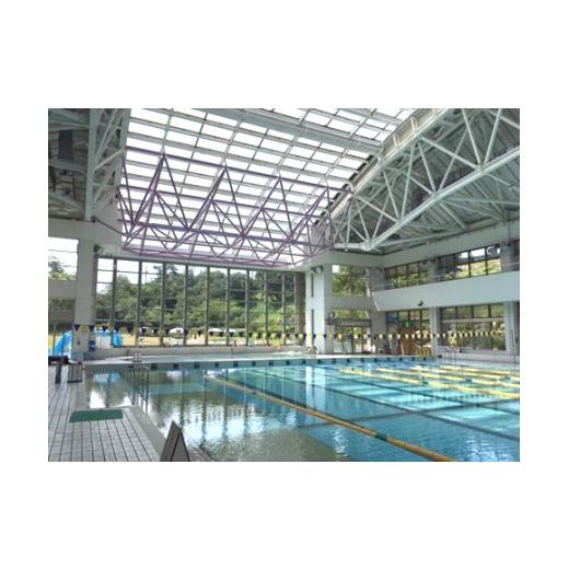 ふるさと納税 体験チケット 兵庫県 三木市 三木山総合公園　屋内プール利用券（年間１２回）