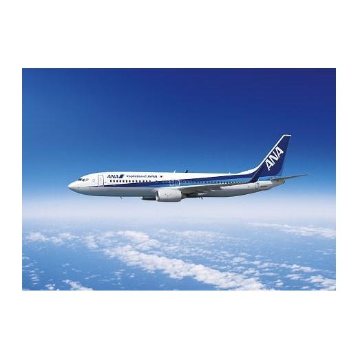 ふるさと納税 N-63002 ANAで行く!根室満喫プラン<夏旅>東京−中標津往復航空券ホテル1泊付...