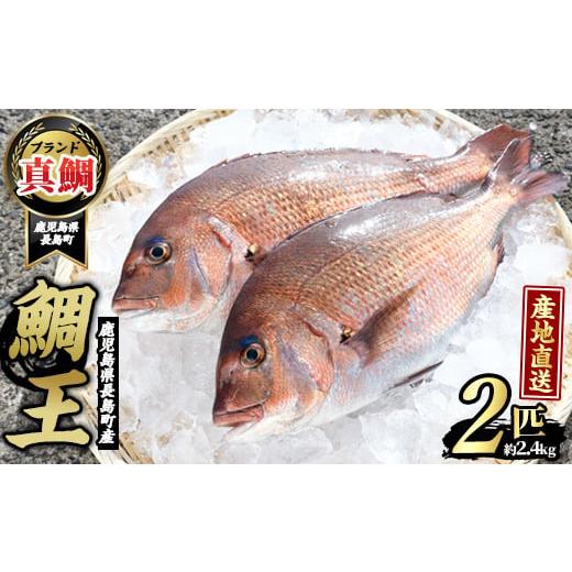 ふるさと納税 鹿児島県 長島町 長島町特産「鯛王」(2匹・約2.4kg)【JFA】jfa-22