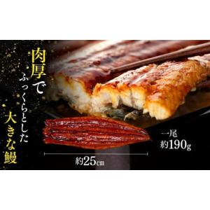 ふるさと納税 うなぎ 千葉県 長生村 C01-...の詳細画像2