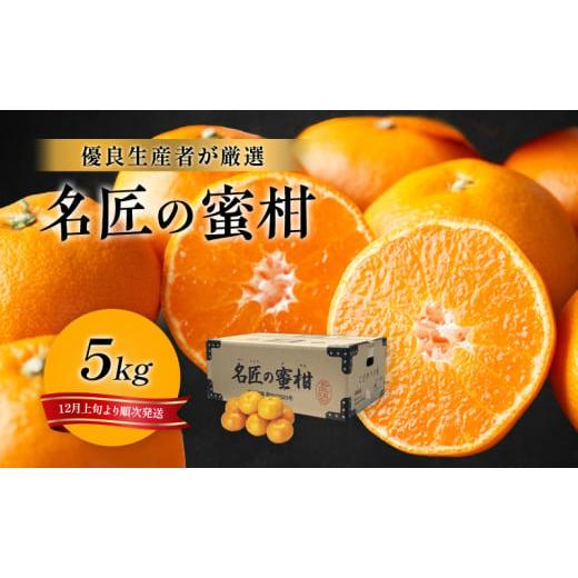 ふるさと納税 果物類 みかん 静岡県 浜松市 先行予約 特秀 名匠のみかん S〜Mサイズ 5kg 果...