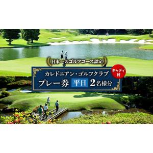 ふるさと納税 ゴルフ場利用券 千葉県 横芝光町 カレドニアン・ゴルフクラブ 日本一のゴルフコース認定 平日ゴルフプレー券(ペア) キャディー付 1491567