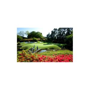 ふるさと納税 ゴルフ場利用券 千葉県 横芝光町...の詳細画像2