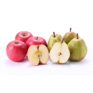 ふるさと納税 果物の詰合せ 山形県 天童市 08-08-027　ラ・フランス&amp;サンふじ詰合せ3kg