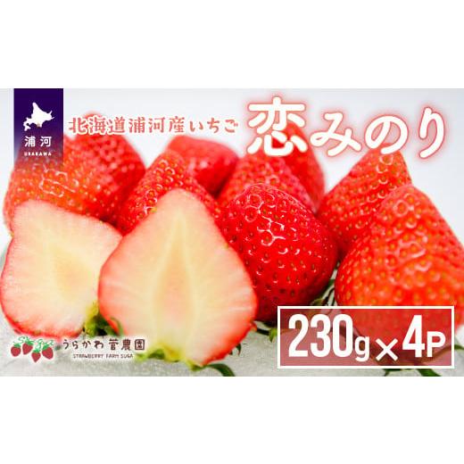 ふるさと納税 北海道 浦河町 【今が旬！】北海道浦河産いちご「恋みのり」230g×4P[13-268...