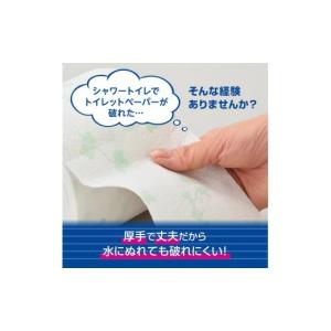 ふるさと納税 雑貨・日用品 愛媛県 四国中央市...の詳細画像2