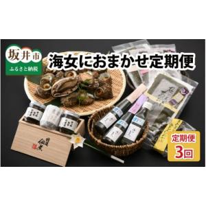 ふるさと納税 魚貝類 福井県 坂井市 年3回お届け 海女におまかせ定期便 〜東尋坊の玉手箱〜 J-6001