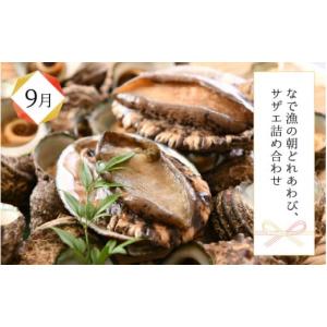 ふるさと納税 魚貝類 福井県 坂井市 年3回お...の詳細画像3
