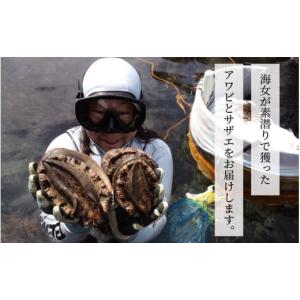 ふるさと納税 魚貝類 福井県 坂井市 年3回お...の詳細画像5