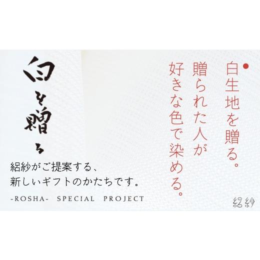 ふるさと納税 小物 ストール・マフラー 新潟県 五泉市 ストール 絽紗 白を贈る−This is J...